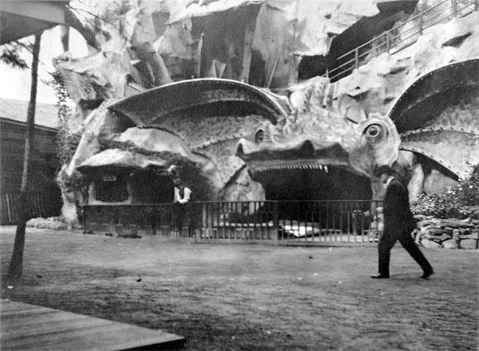 Nat Park Dragon Slide